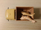 Gift Set 14 Daktari