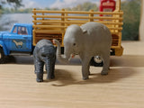 Gift Set 14 Daktari
